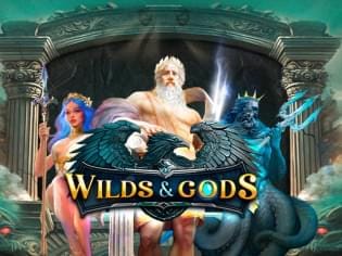Wilds & Gods